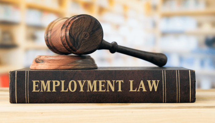 Employment and Labour Relations Employment Law